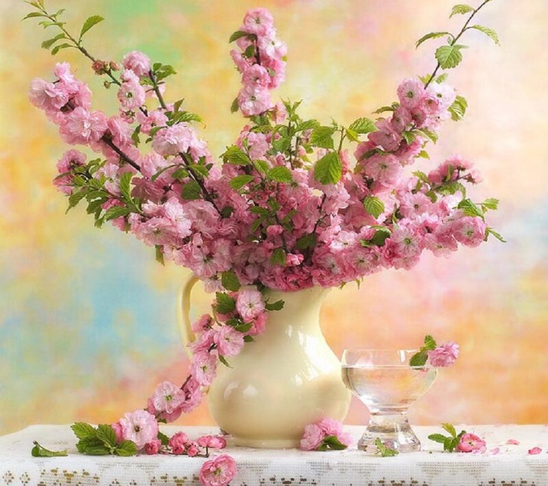 Pink Cherry Blossoms in Vase