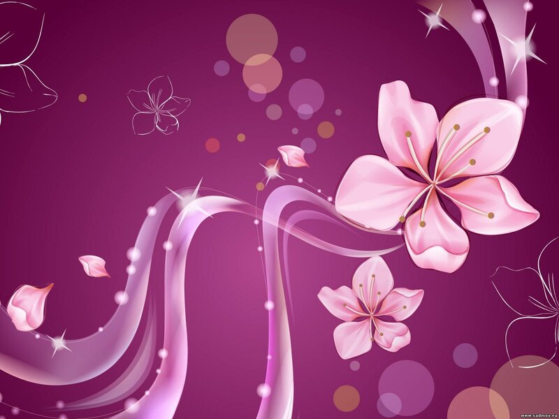 Pink Cherry Blossoms — Purple