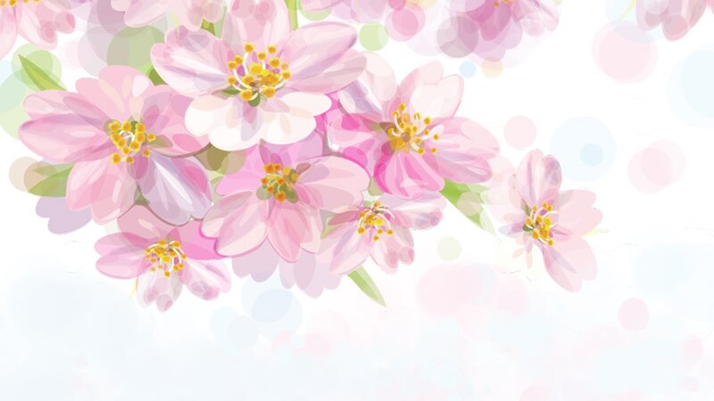 Pink Cherry Blossoms — Serene, Spring, Digital Art, Flowers, Leaves