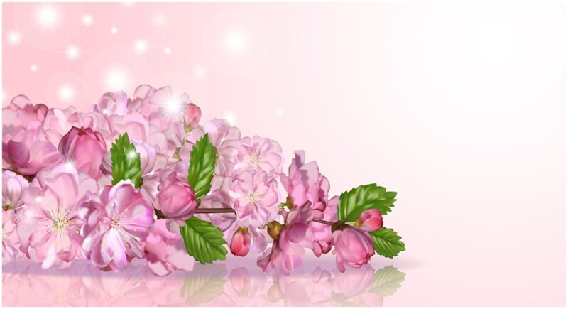 Pink Cherry Blossoms — Serene, Spring, Digital Art, Leaves