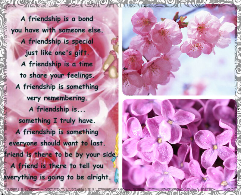 Pink Cherry Blossoms — Serene, Spring, Illustration, Text