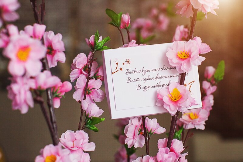 Pink Cherry Blossoms — Serene, Spring, Photograph, Card