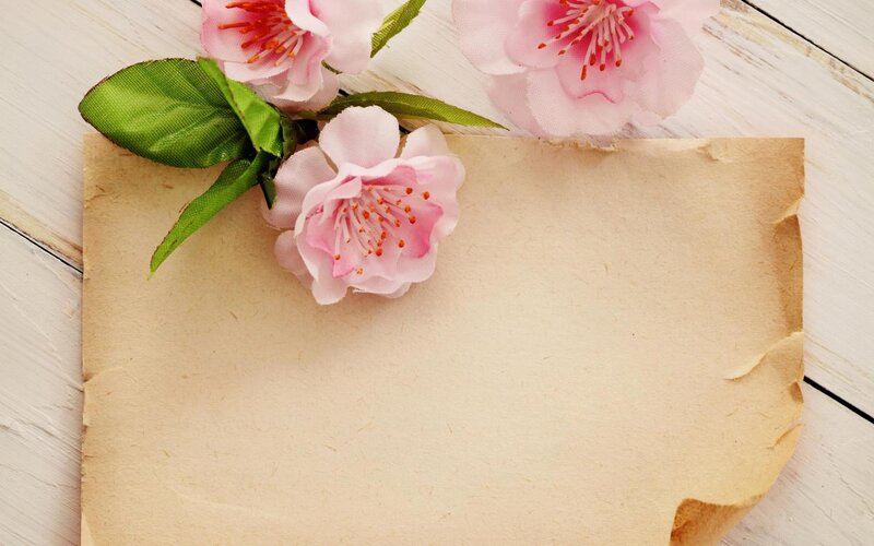 Pink Cherry Blossoms — Serene, Spring, Photograph, Paper