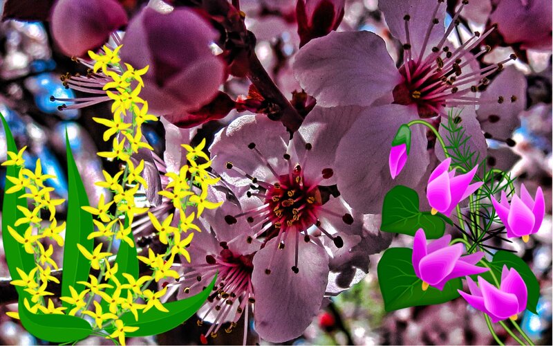 Pink Cherry Blossoms — Vibrant, Spring, Digital Art