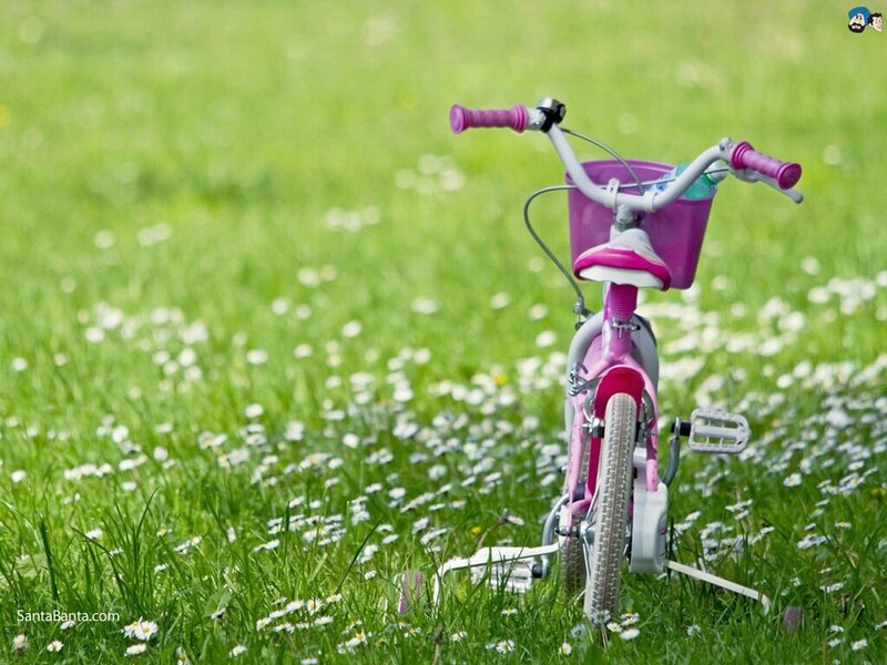 Pink Children's Bicycle