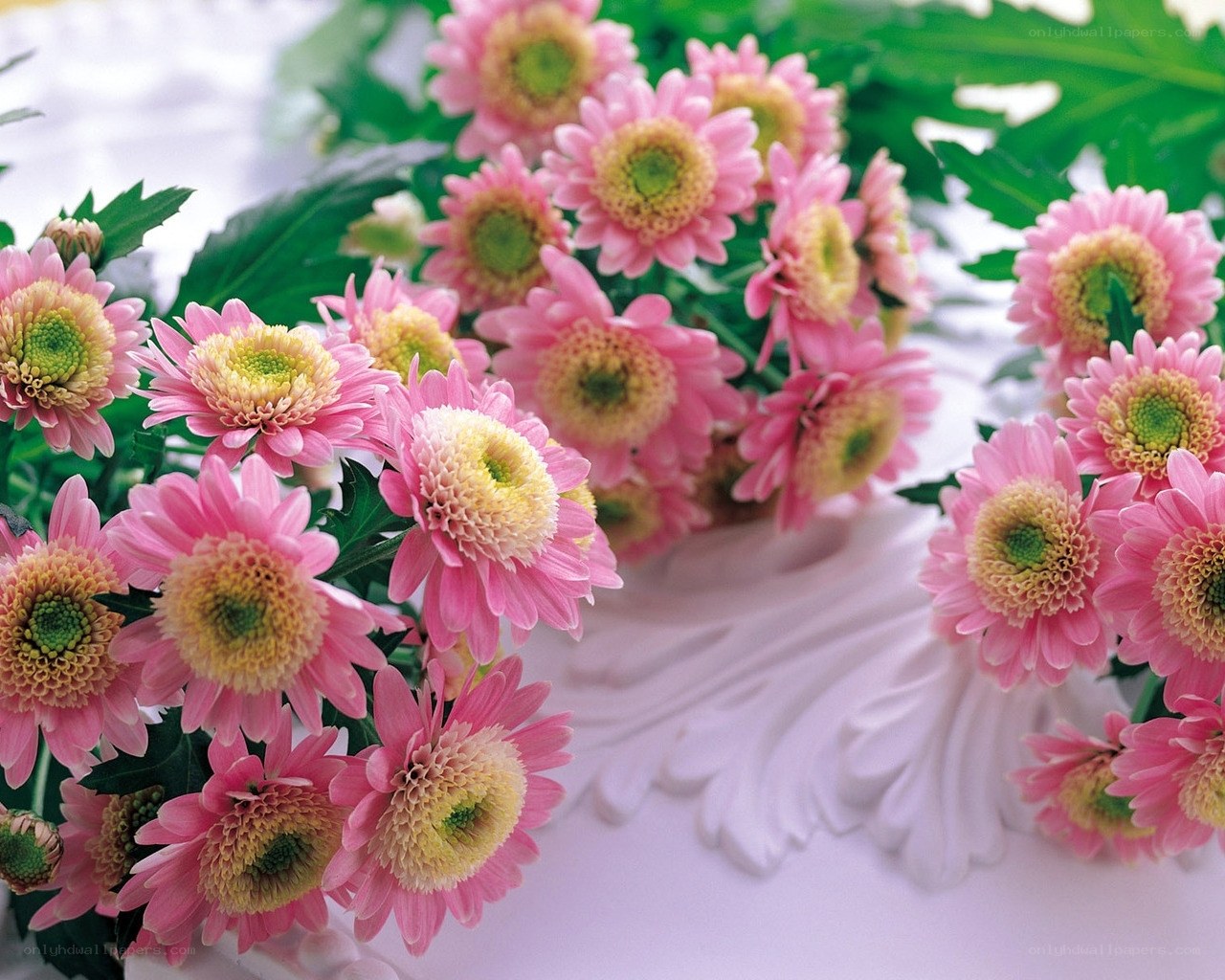 Pink chrysanthemum bouquet