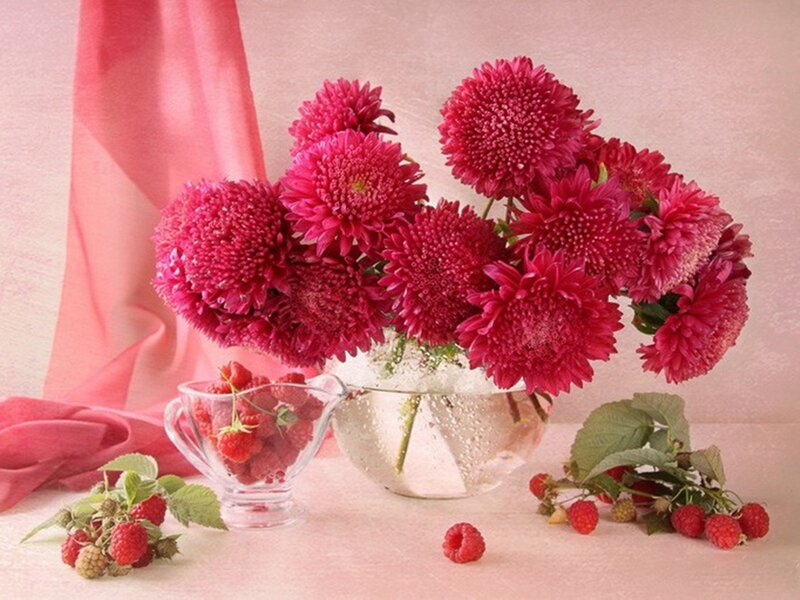 Pink Chrysanthemums and Raspberries