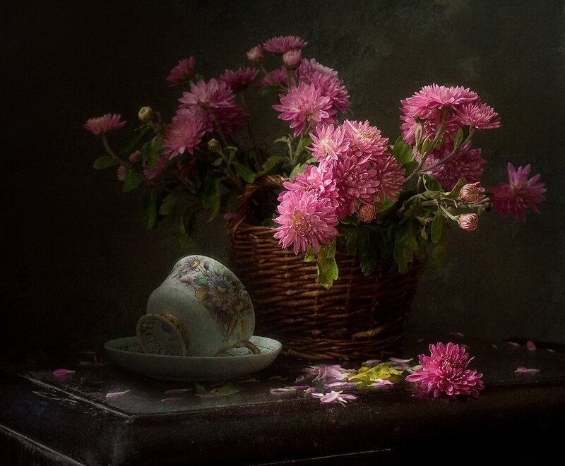 Pink Chrysanthemums in Basket — Dramatic