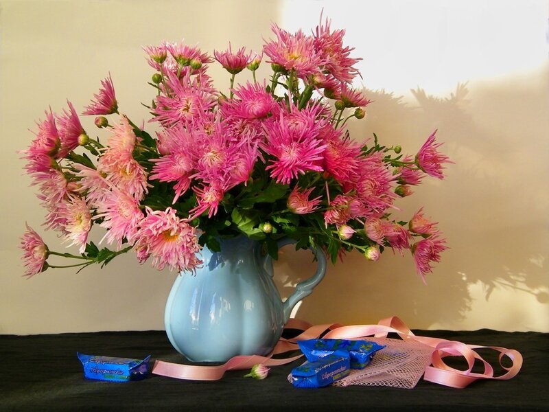 Pink Chrysanthemums in Vase — Calm