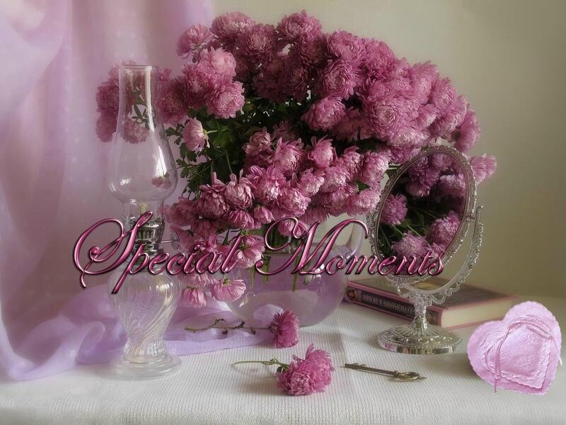 Pink Chrysanthemums in Vase — Purple, Serene