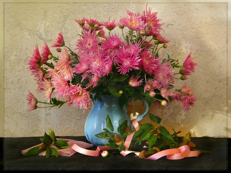 Pink Chrysanthemums in Vase