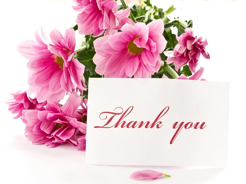 Pink Chrysanthemums with Card — Calm