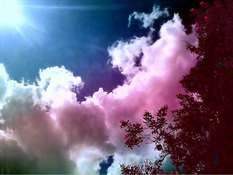 Pink clouds at sunset