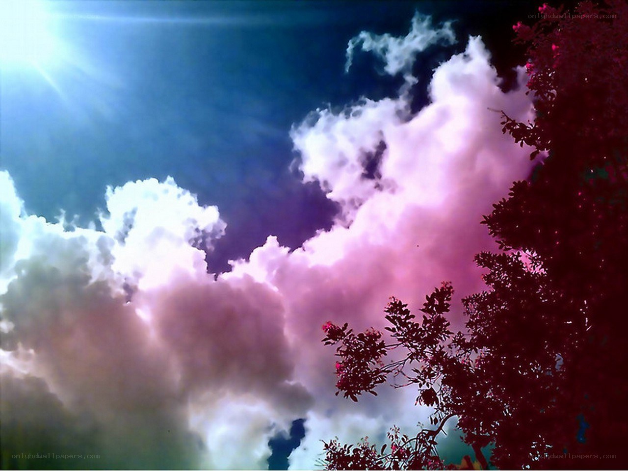 Pink clouds at sunset