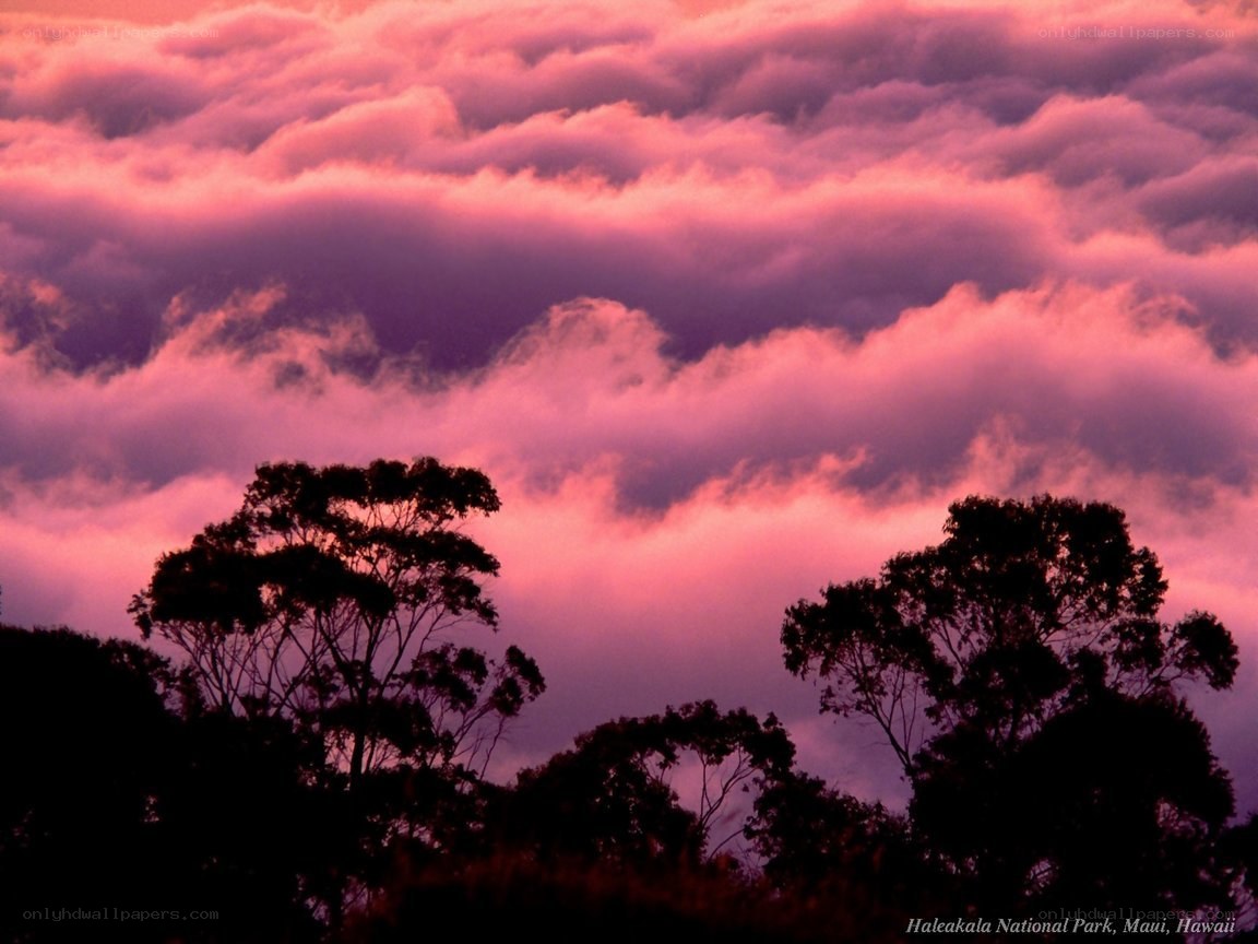 Pink clouds over Haleakala