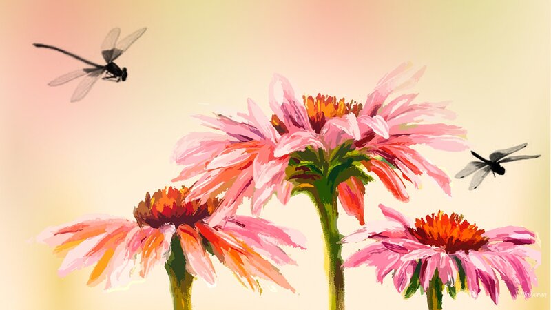 Pink Coneflowers with Dragonflies