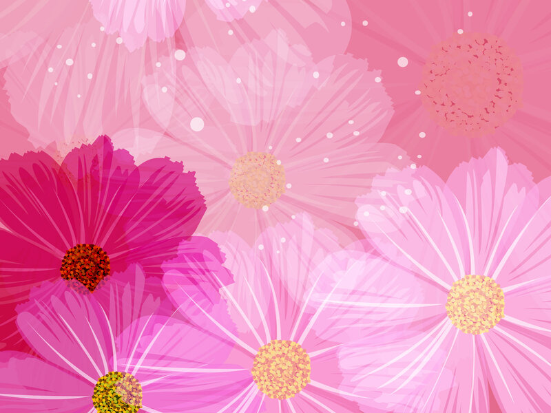 Pink Cosmos Flowers — Calm, Digital Art