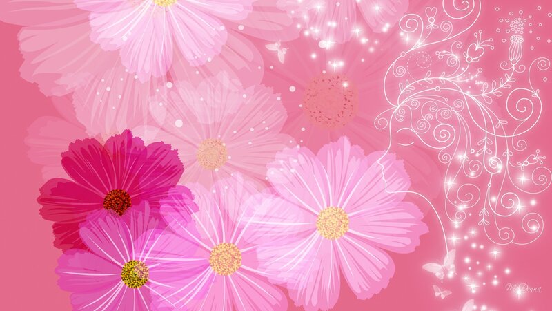 Pink Cosmos Flowers — Dreamy
