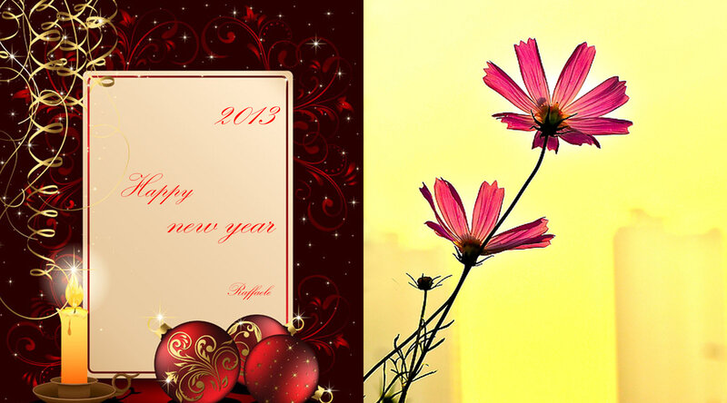 Pink Cosmos Flowers — Red