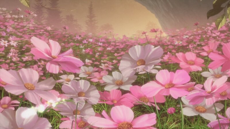 Pink Cosmos Flowers — Serene, Sunset, 3d Render