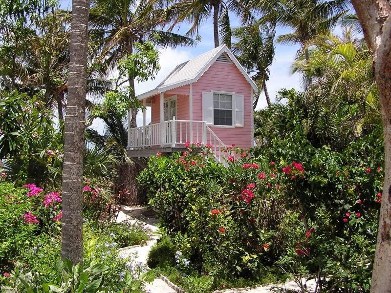 Pink Cottage in Garden