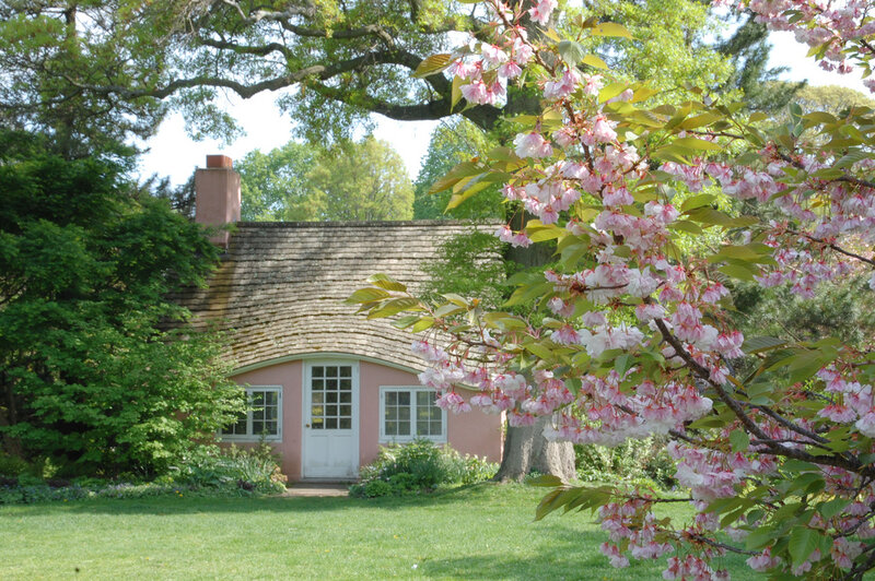 Pink Cottage with Cherry Blossoms — Serene