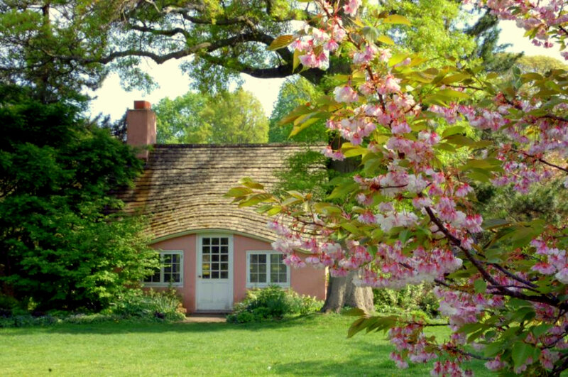 Pink cottage with cherry blossoms