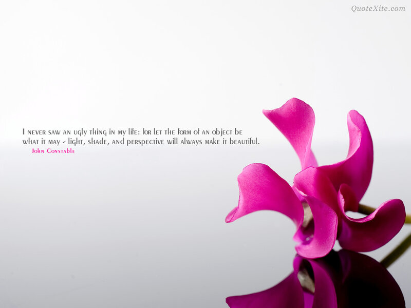 Pink Cyclamen Flower — Magenta