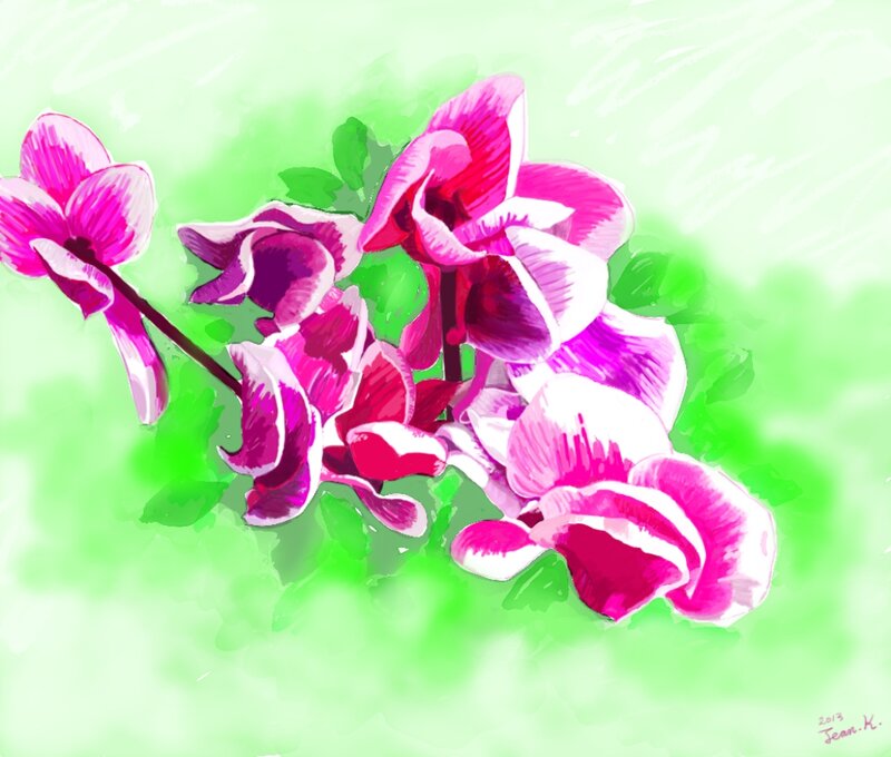 Pink Cyclamen Flowers — Calm, Spring, Digital Art