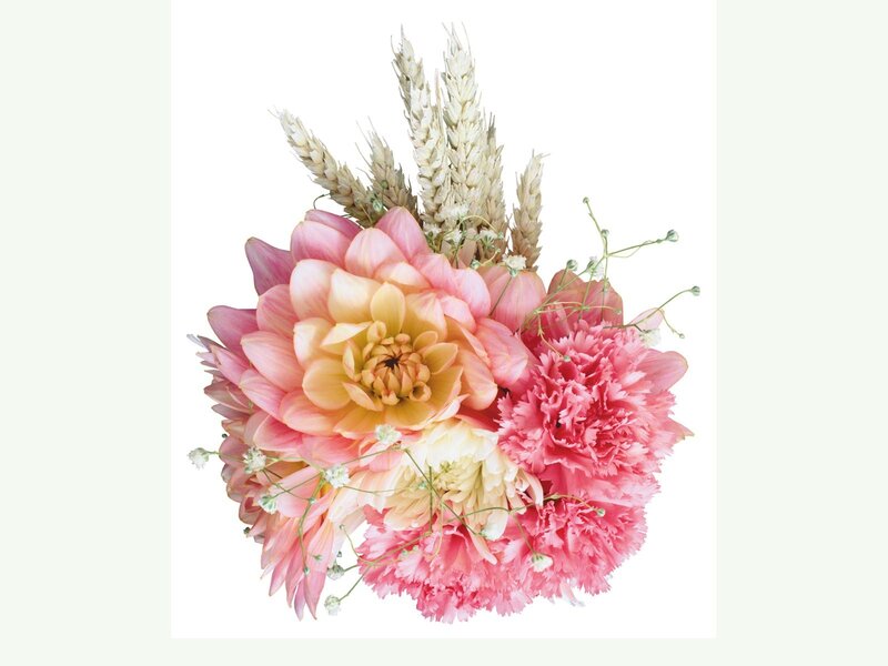 pink dahlia and carnation bouquet