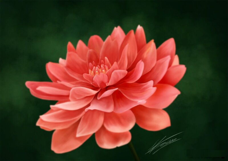Pink Dahlia Flower — Serene, Digital Art