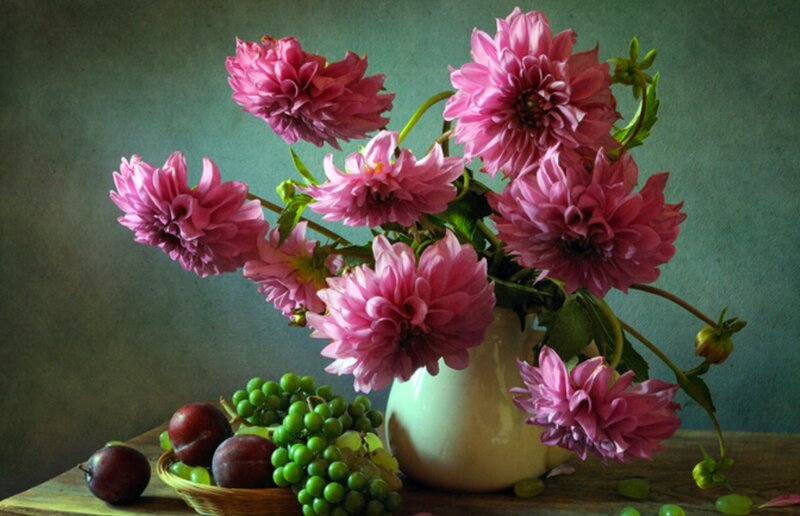 Pink Dahlias in Vase — Calm