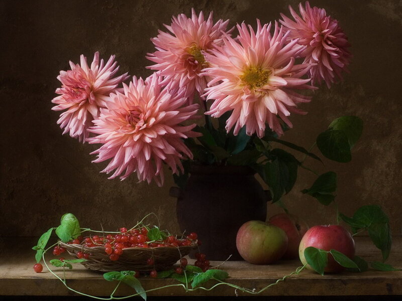 Pink Dahlias in Vase — Dramatic