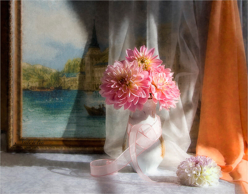 Pink Dahlias in Vase — Serene