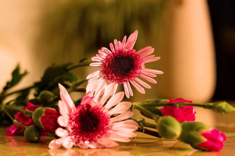 Pink Daisies and Carnations