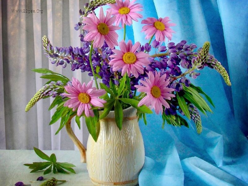 Pink Daisies and Lupines