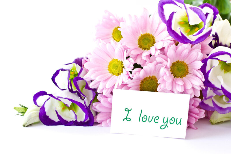 Pink Daisies and Purple Flowers — Romantic