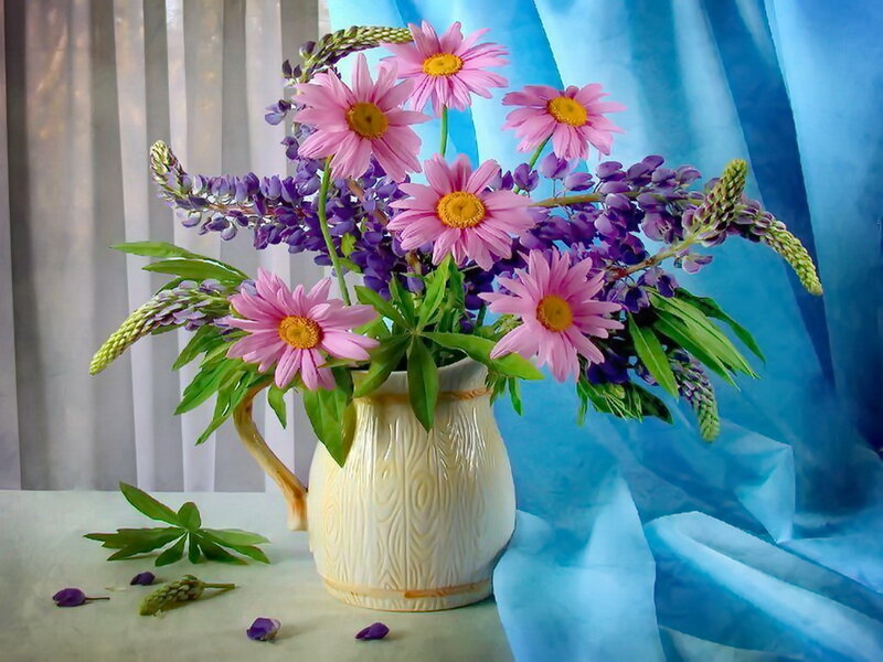 Pink Daisies in Vase — Blue