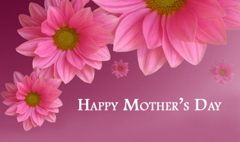 Pink Daisies