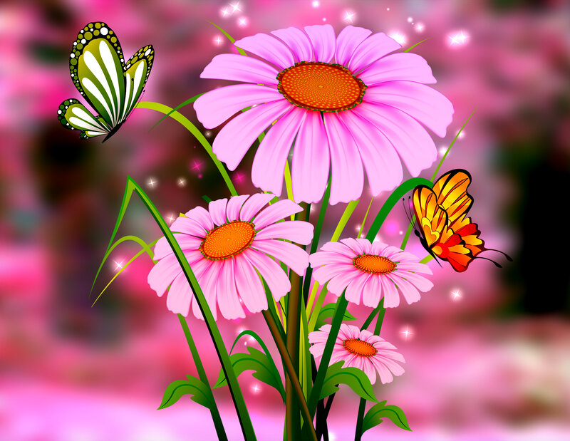 Pink Daisies with Butterflies