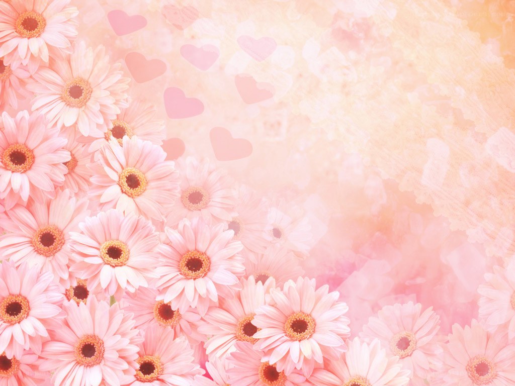 pink daisies with hearts