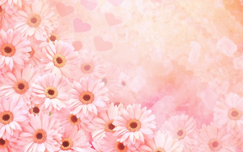 pink daisies with hearts