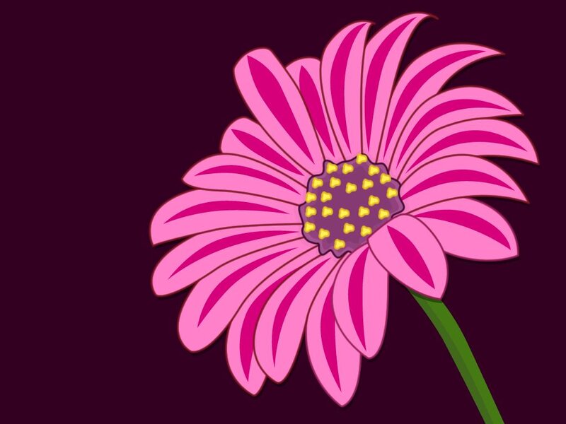 Pink Daisy Flower — Calm, Vector Art