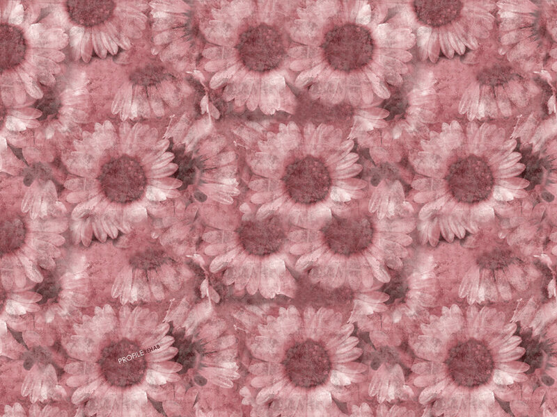 Pink Daisy Pattern