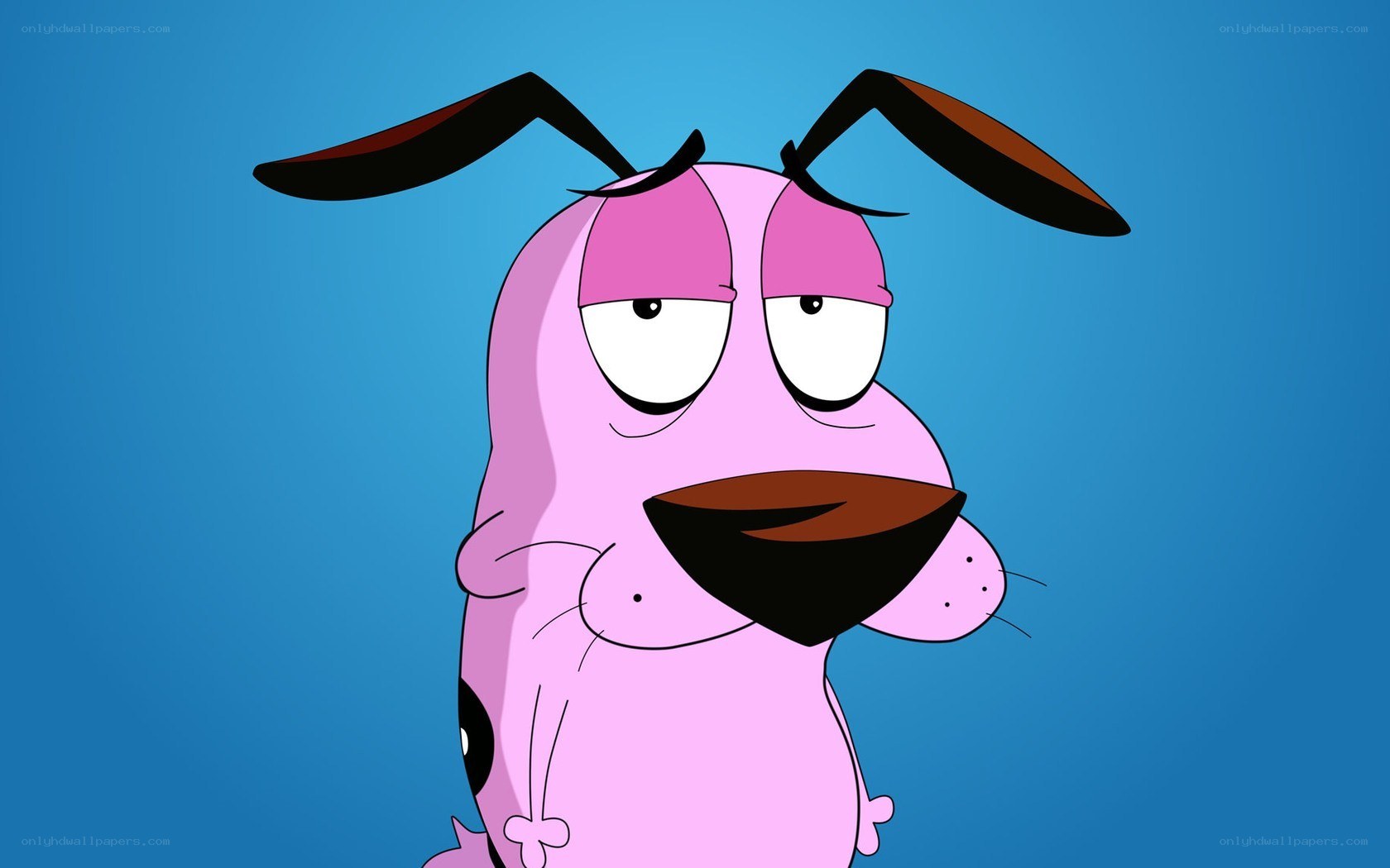 pink dog character close-up