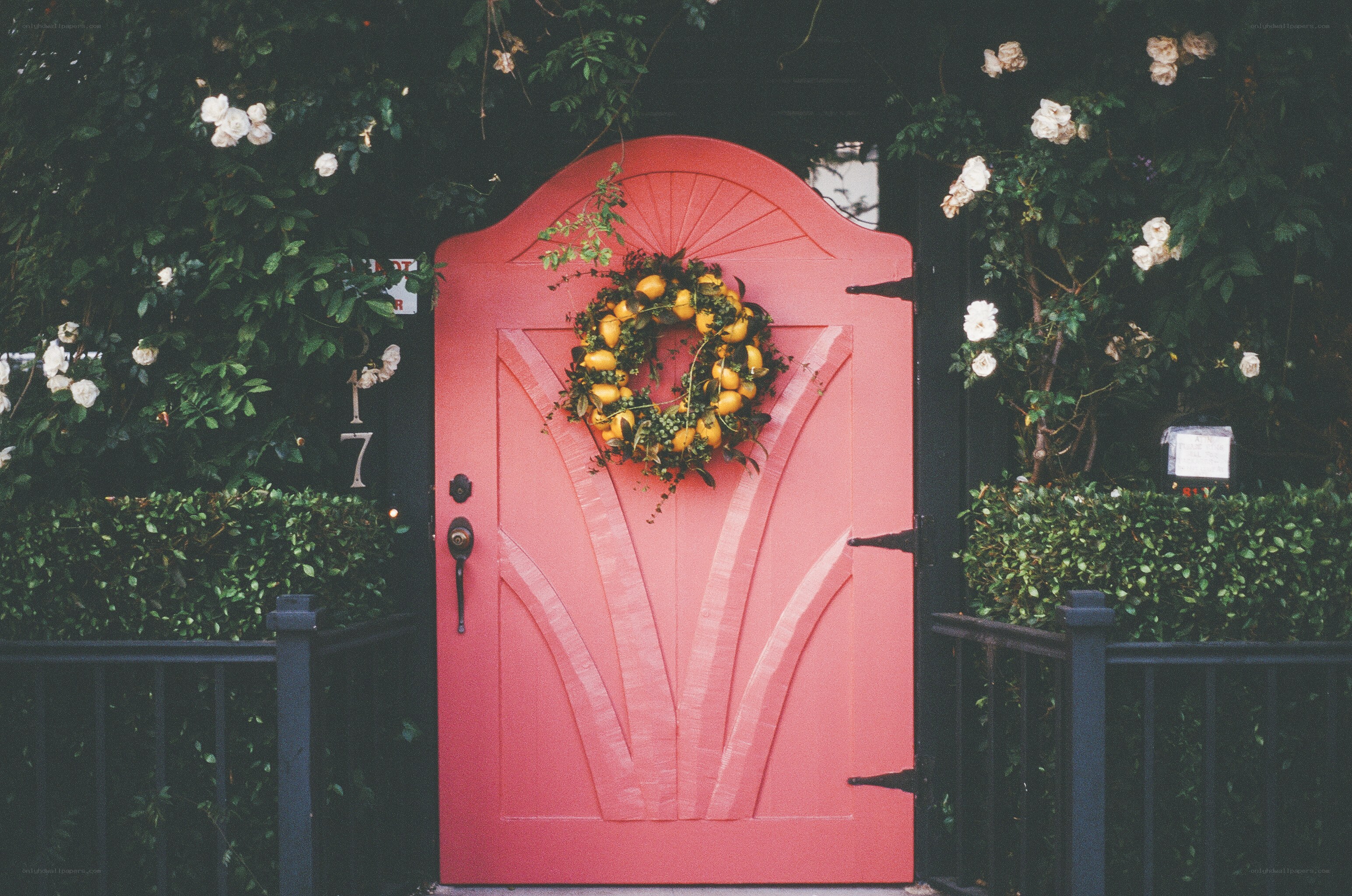 pink door with lemon wreath