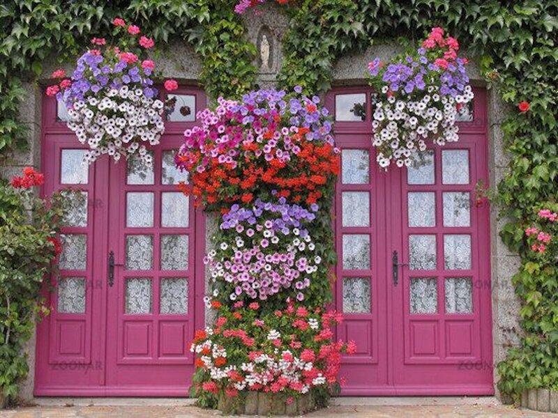 Pink Doors with Flowers