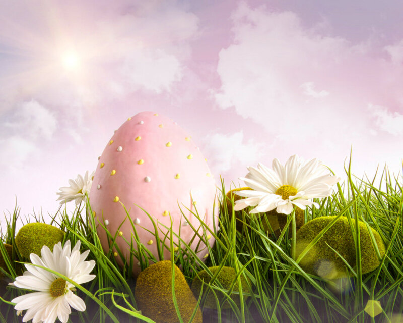 Pink Egg in Grass