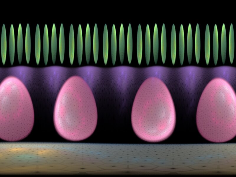 Pink Eggs in a Row