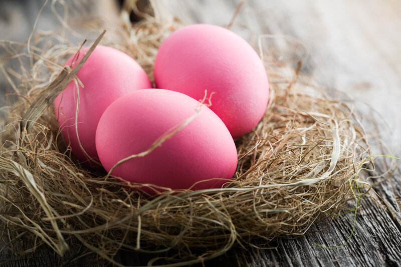 Pink Eggs in Nest